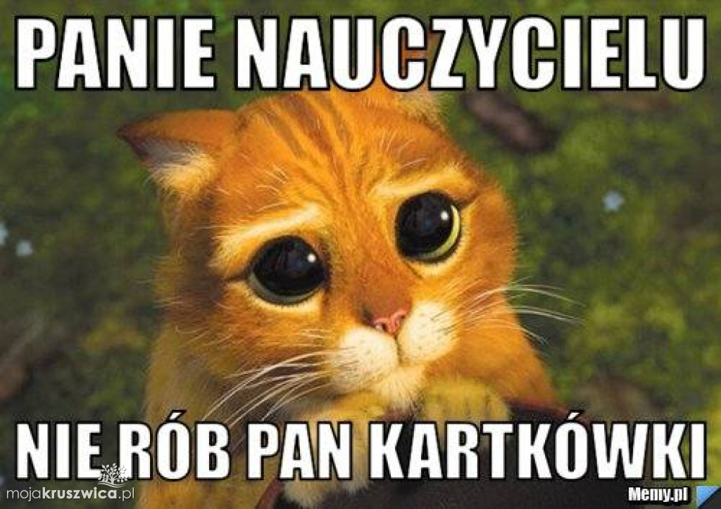 Strajk nauczycieli 2019 [MEMY]