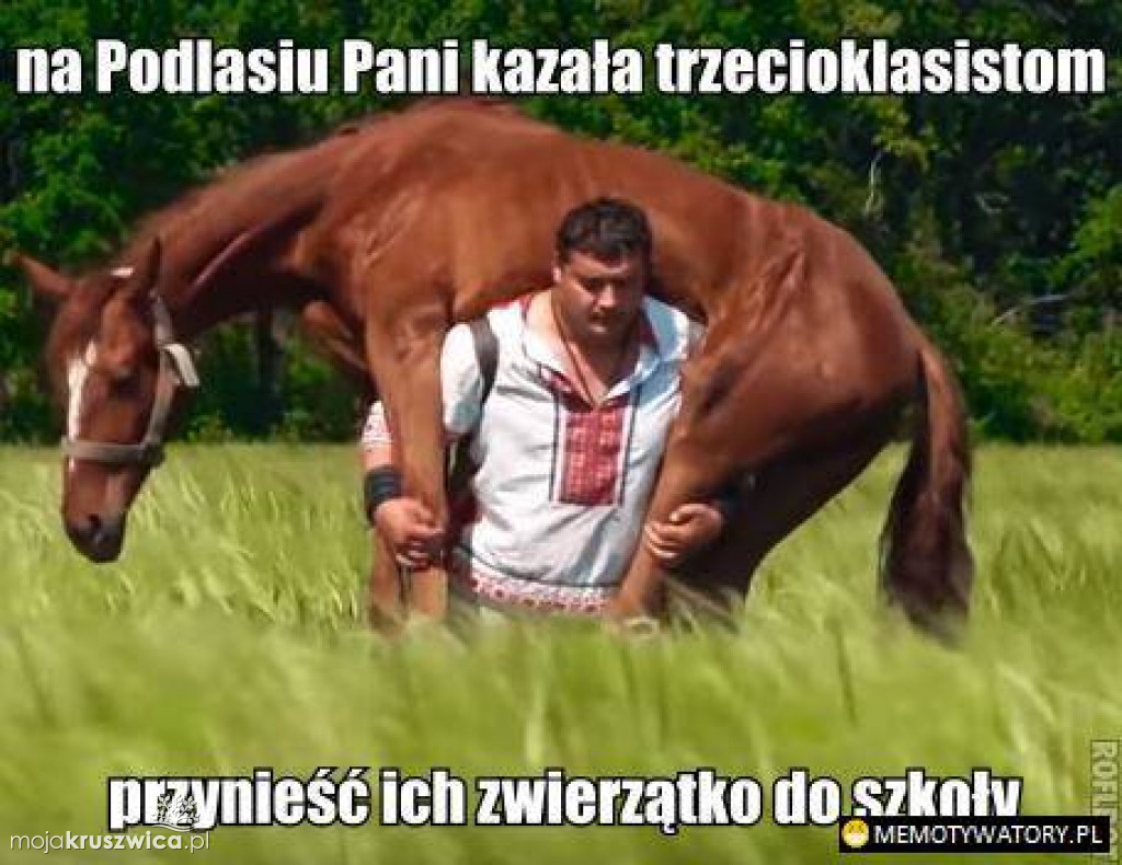 Strajk nauczycieli 2019 [MEMY]