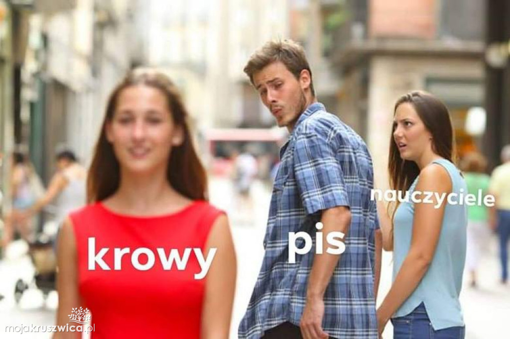 Strajk nauczycieli 2019 [MEMY]