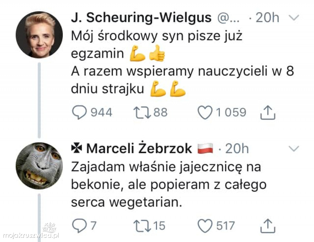 Strajk nauczycieli 2019 [MEMY]