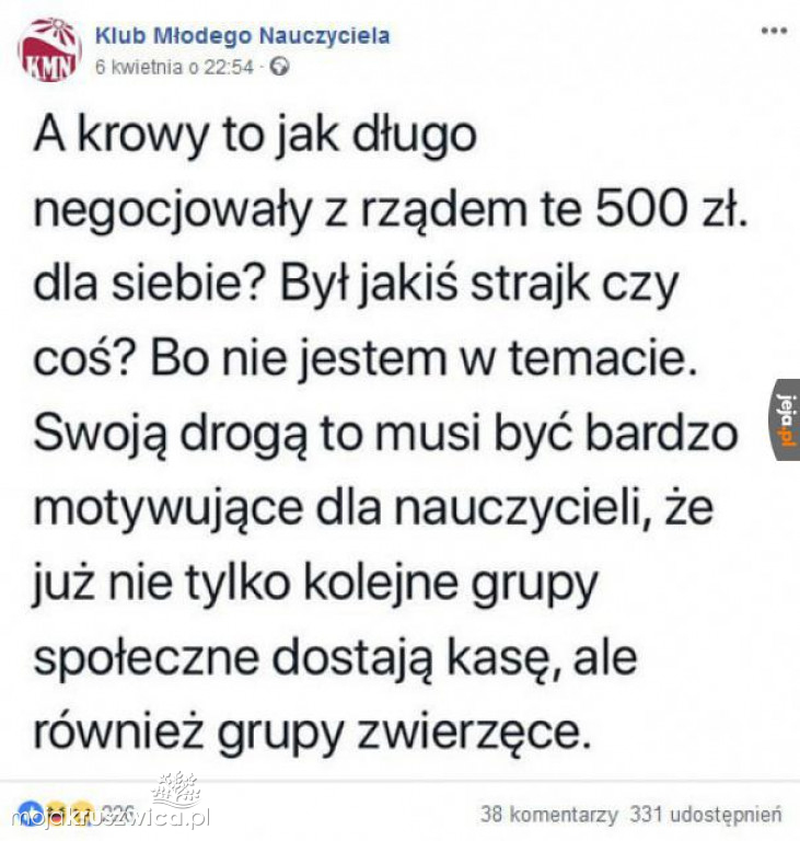 Strajk nauczycieli 2019 [MEMY]