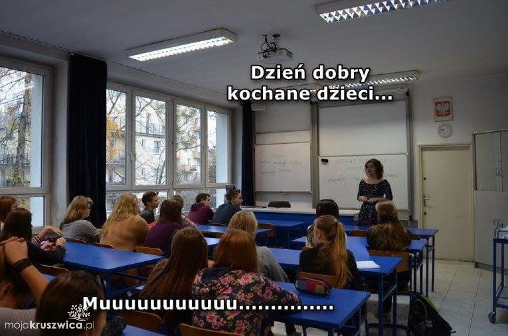 Strajk nauczycieli 2019 [MEMY]