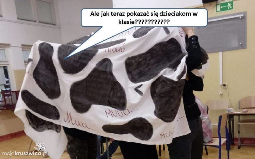 Strajk nauczycieli 2019 [MEMY]