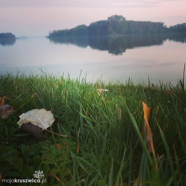 Kruszwica fot. Żaneta Kowalska