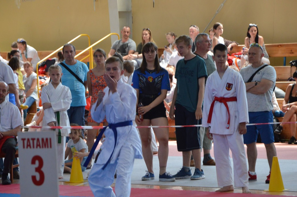 Turniej Karate o Puchar Burmistrza