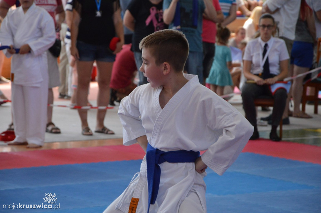 Turniej Karate o Puchar Burmistrza