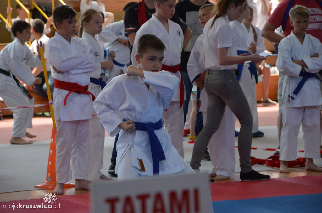 Turniej Karate o Puchar Burmistrza