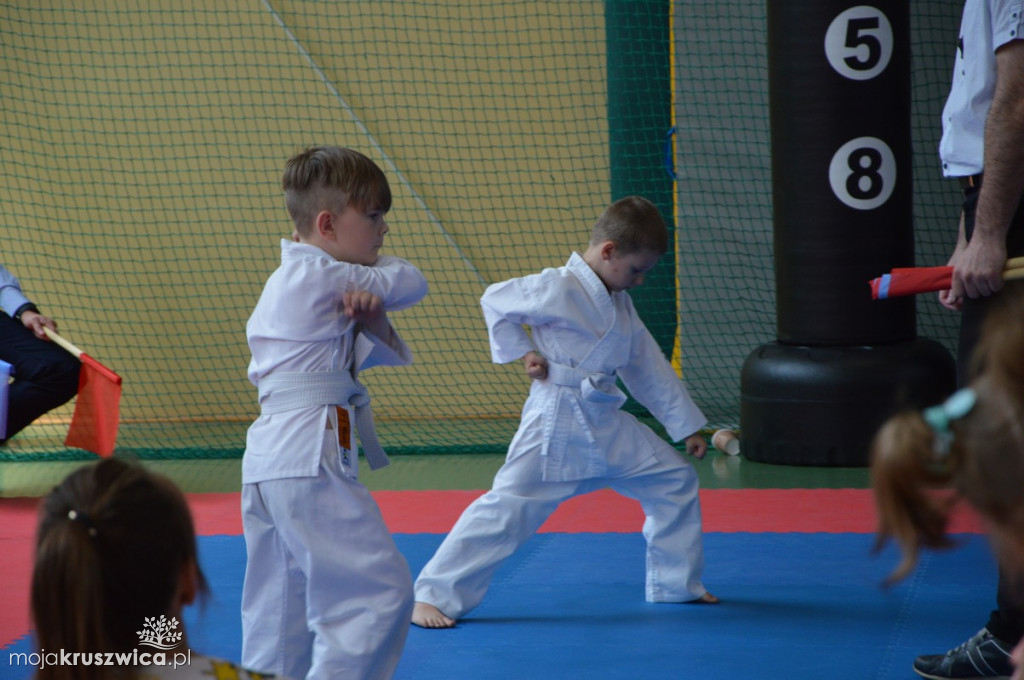 Turniej Karate o Puchar Burmistrza