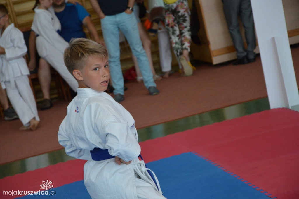 Turniej Karate o Puchar Burmistrza