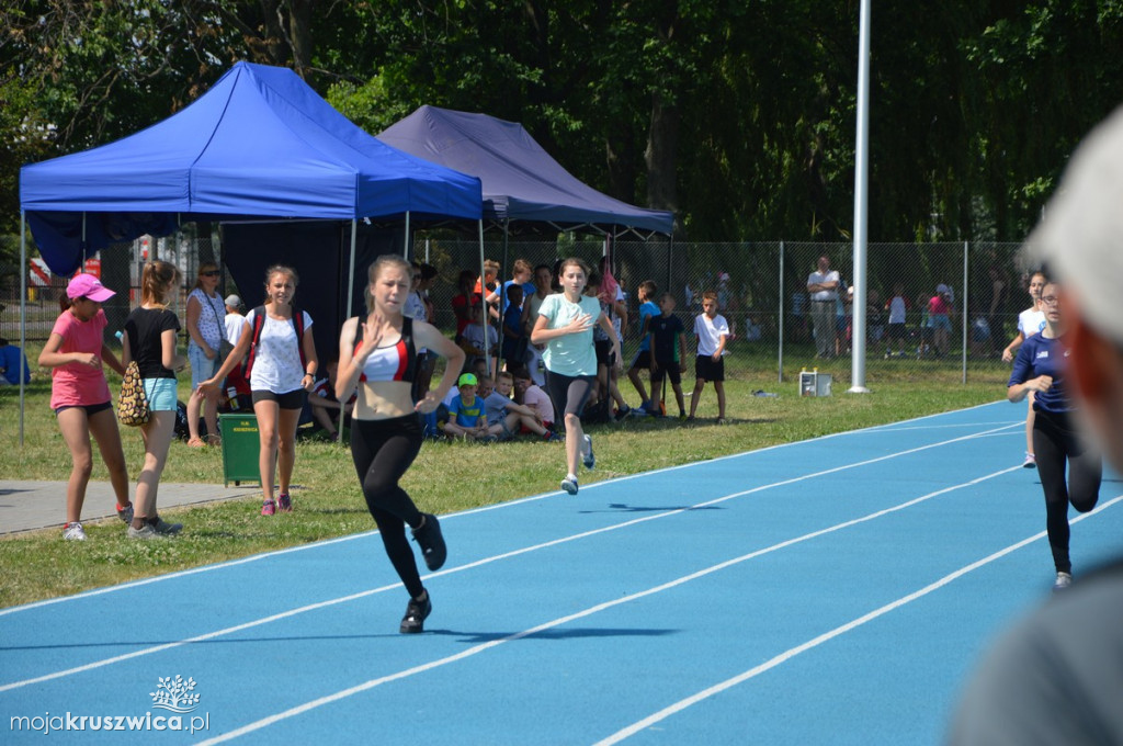 Zawody lekkoatletyczne 2019