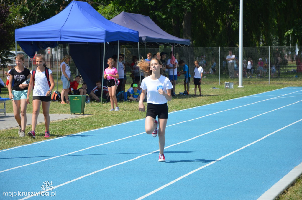 Zawody lekkoatletyczne 2019