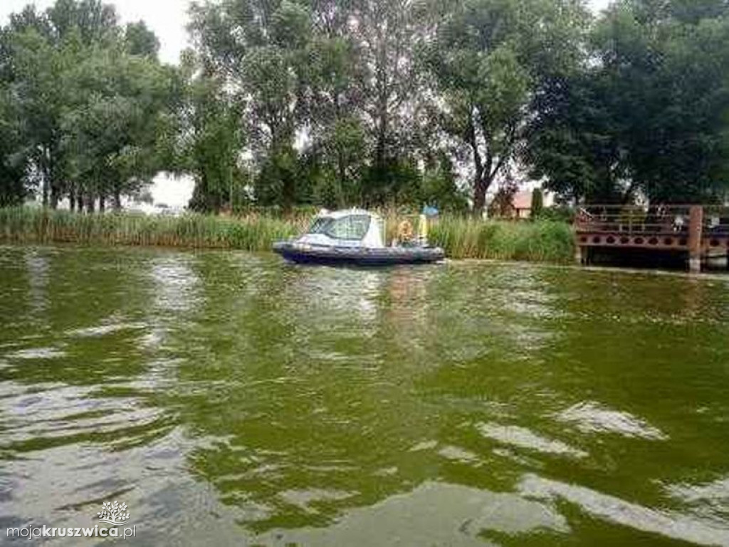 Działania na Gople