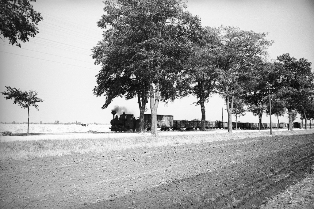 Kruszwica z 1934 roku