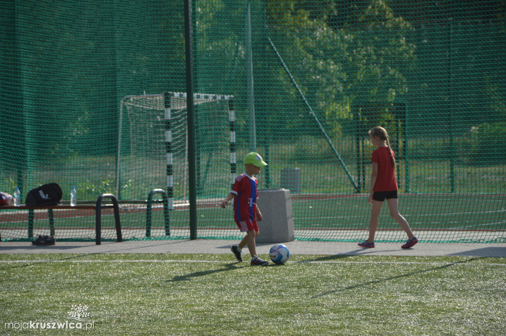 Football Academy Kruszwica w Chełmcach