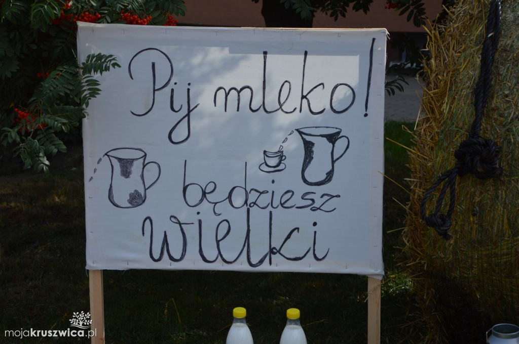 Dożynki Gminne w Polanowicach: Dekoracje
