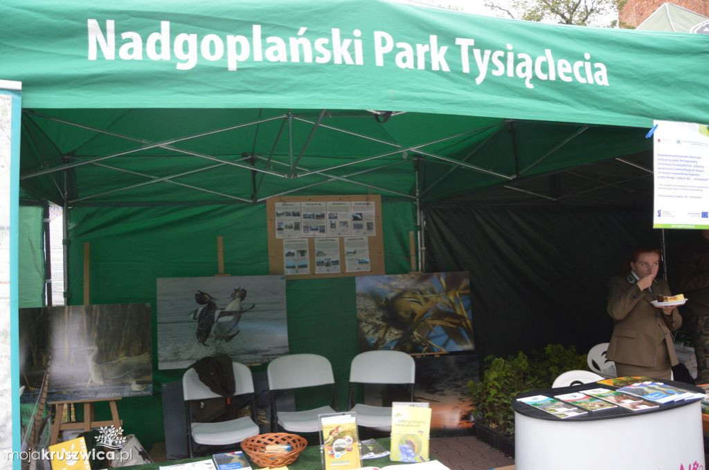 Lato w Parku wystawy i stoiska