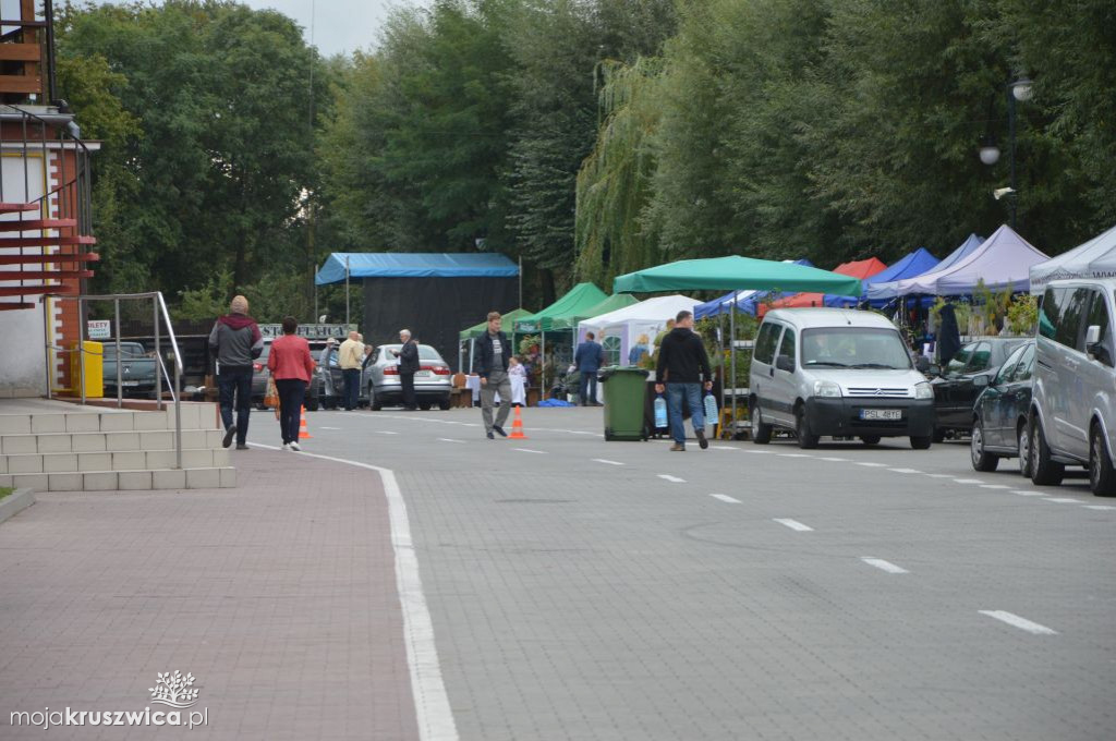 Lato w Parku wystawy i stoiska