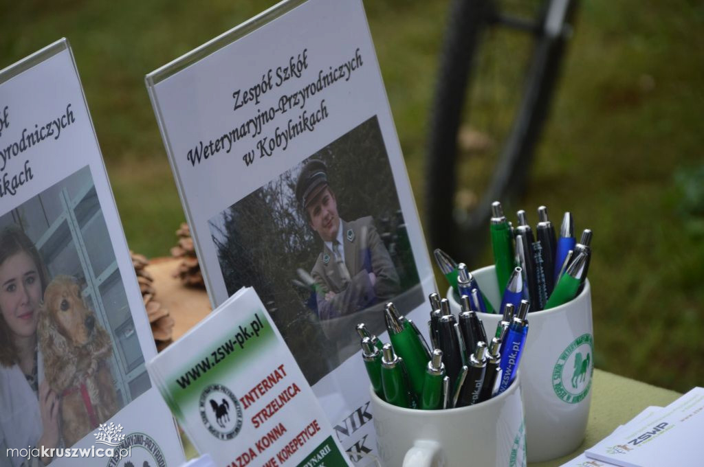 Lato w Parku oficjalna część wydarzenia