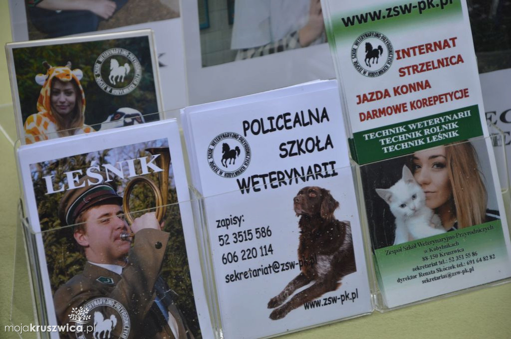 Lato w Parku oficjalna część wydarzenia