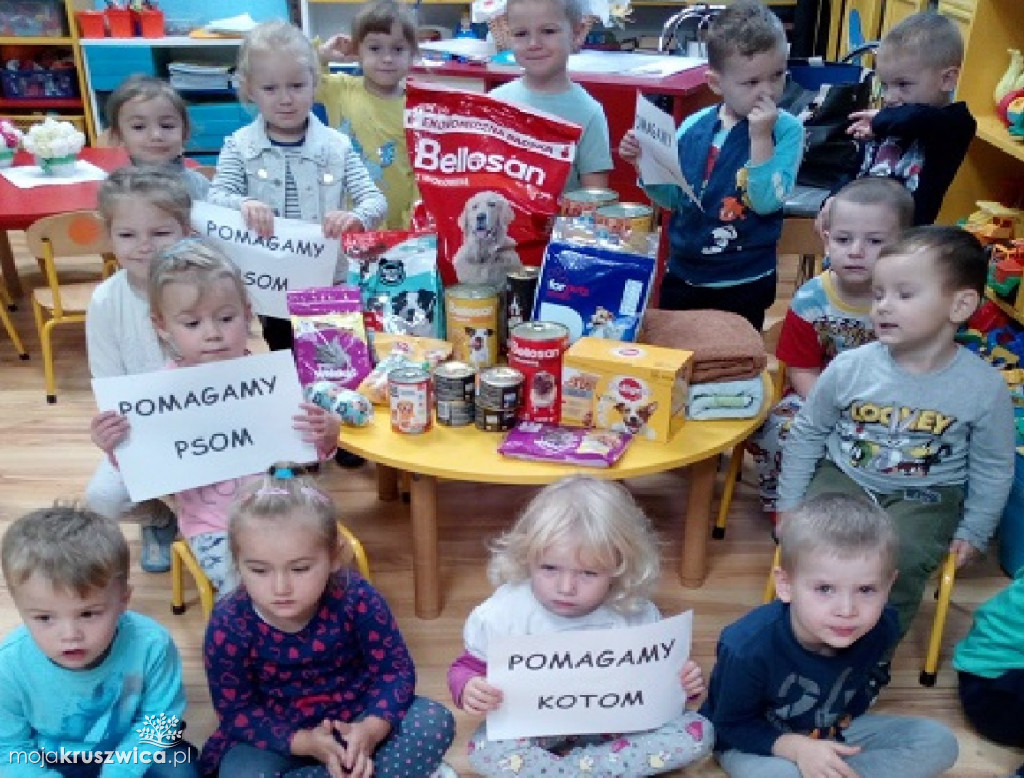Zbiórka dla bezdomnych zwierząt