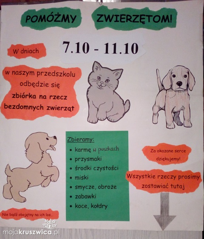Zbiórka dla bezdomnych zwierząt
