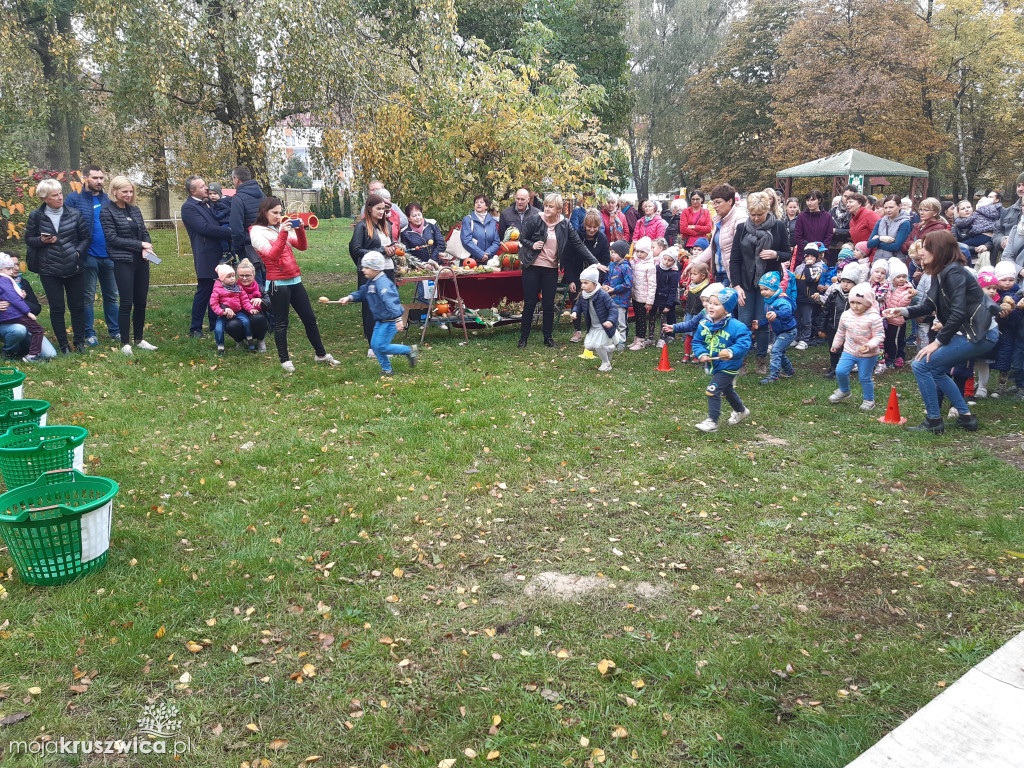 Święto pieczonego ziemniaka