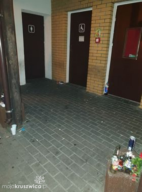 Śmieci w miejskich donicach
