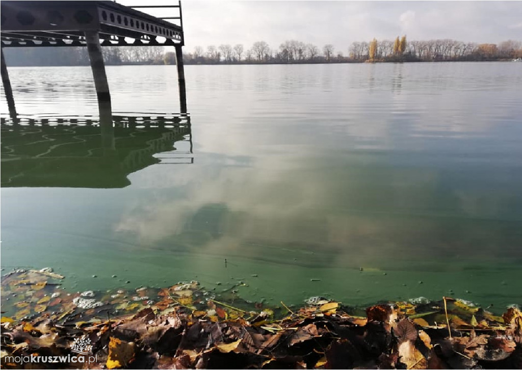 Jakość wody w Gople nie wzbudza zaufania.