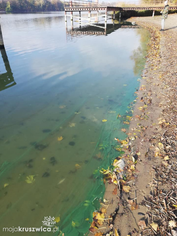 Jakość wody w Gople nie wzbudza zaufania.