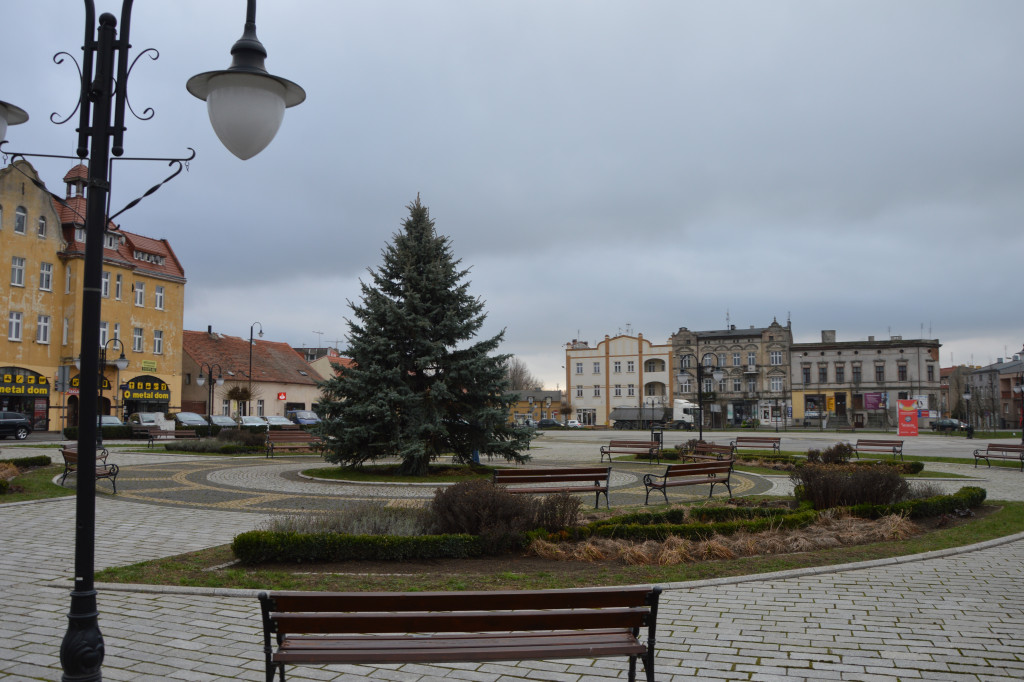 Choinka na rynku w Kruszwicy