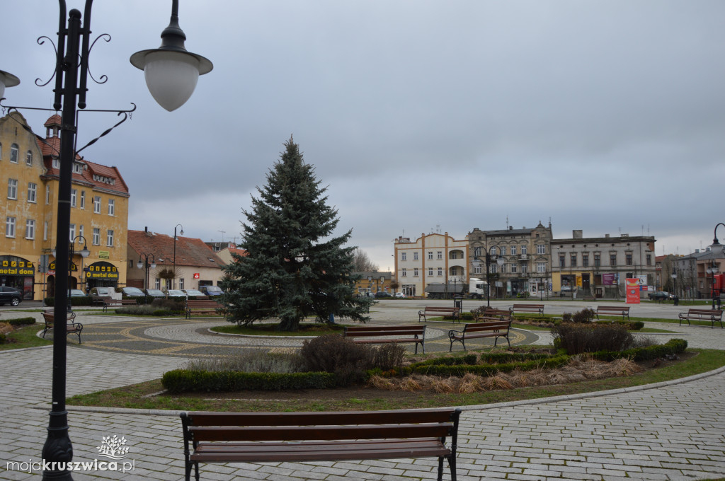 Choinka na rynku w Kruszwicy