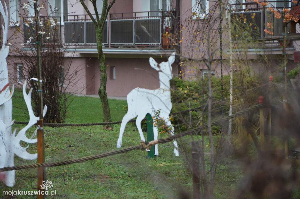 Renifery na Zagoplu