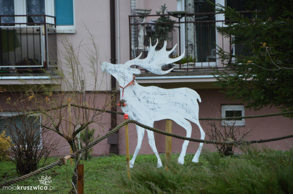 Renifery na Zagoplu