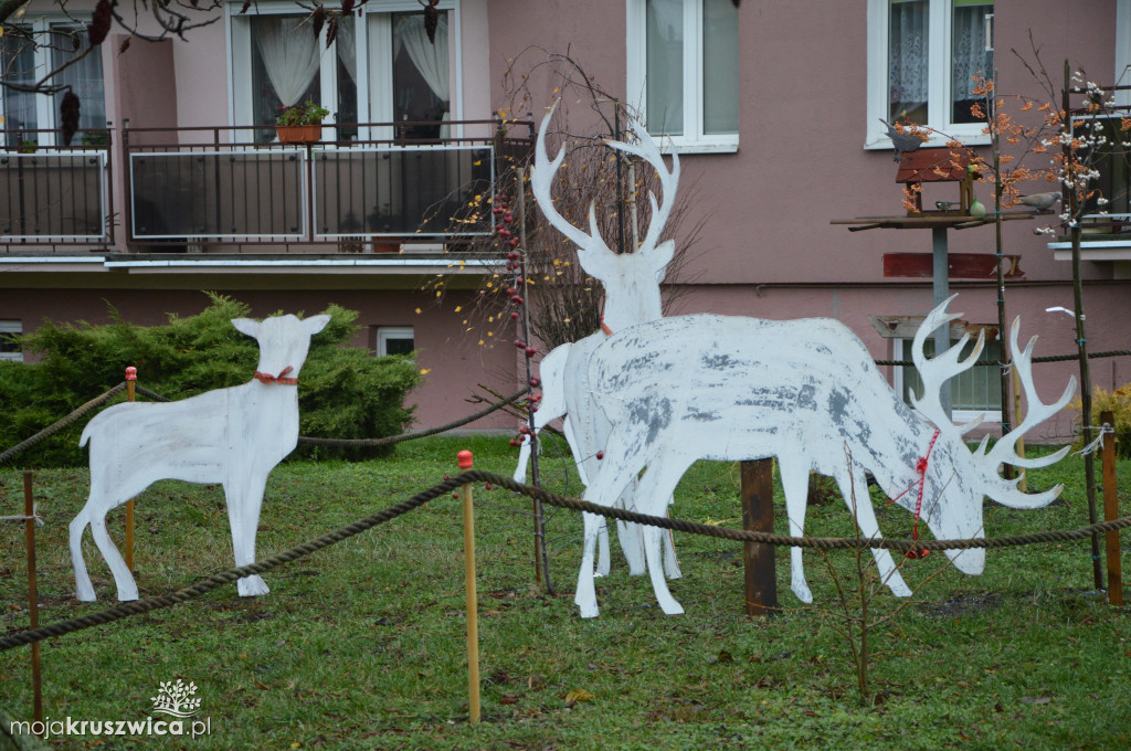 Renifery na Zagoplu