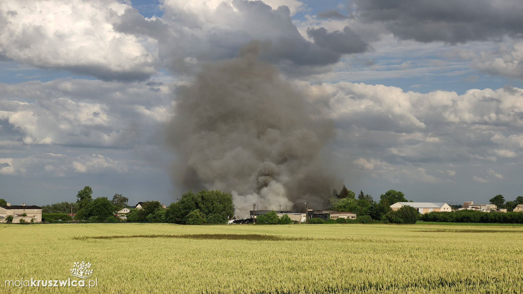Pożar w Lisewie Kościelnym
