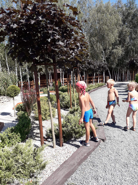 Chełmce: W ramach zielonych wakacji wyjechali do Papowa Toruńskiego [FOTO]