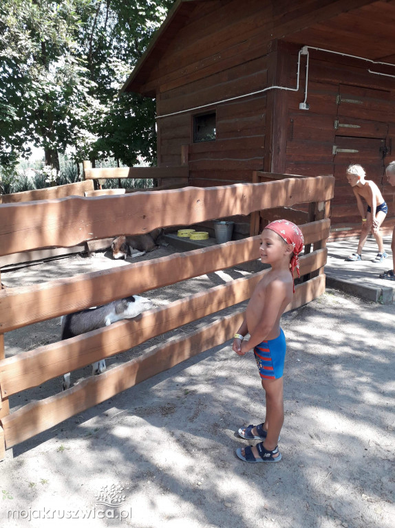 Chełmce: W ramach zielonych wakacji wyjechali do Papowa Toruńskiego [FOTO]