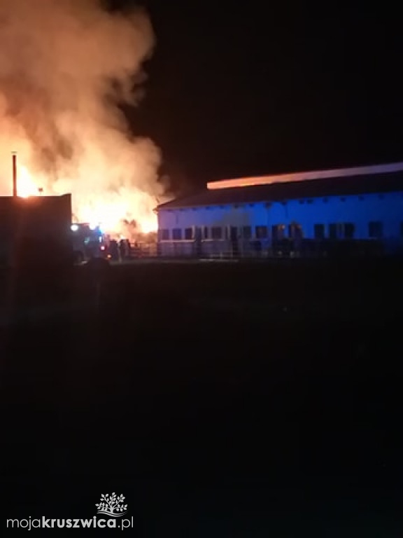 Okolice Giżewa: Ogromny pożar. Zagrożone mogą być budynki gospodarcze? [FOTO]