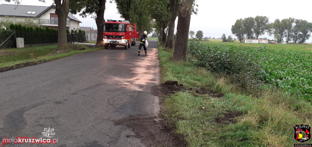Bródzki: Samochód ciężarowy uderzył w drzewo. Zdjęcia, które dają do myślenia [FOTO]