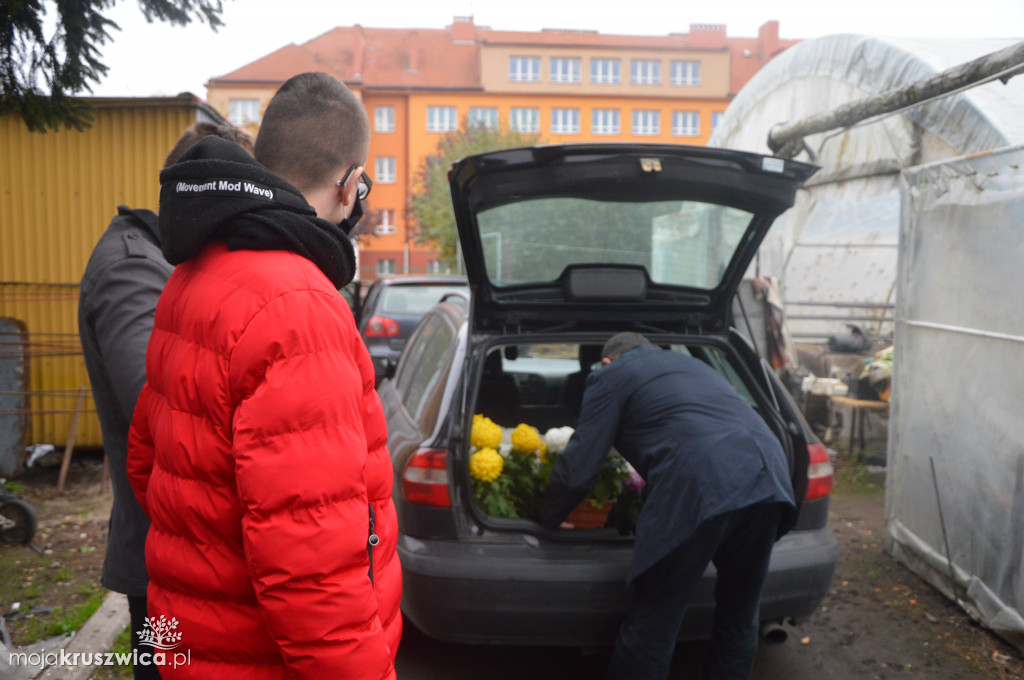 Chryzantemy od kruszwickiego przedsiębiorcy udekorowały groby i miejsca pamięci [FOTO, VIDEO]
