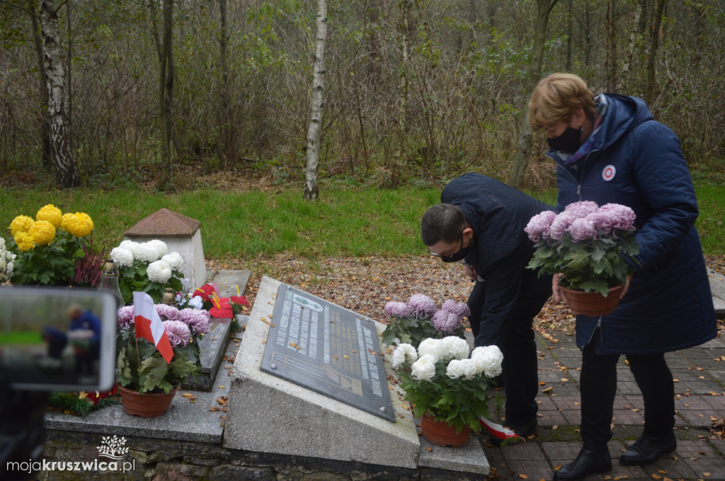 Chryzantemy od kruszwickiego przedsiębiorcy udekorowały groby i miejsca pamięci [FOTO, VIDEO]