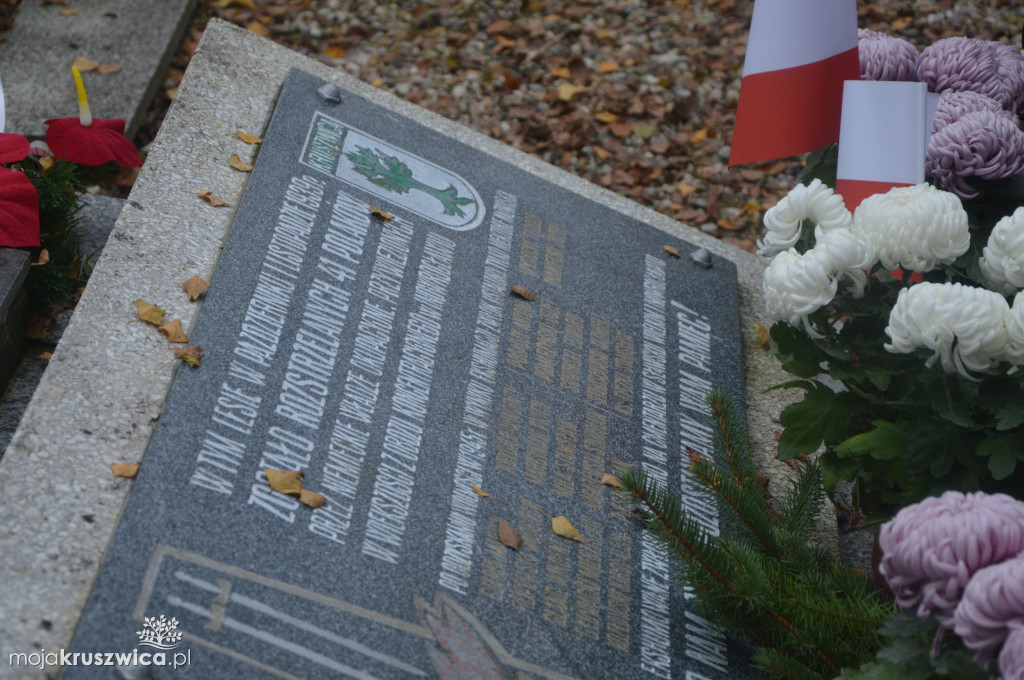 Chryzantemy od kruszwickiego przedsiębiorcy udekorowały groby i miejsca pamięci [FOTO, VIDEO]