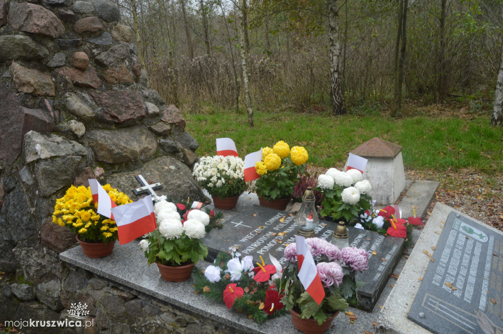 Chryzantemy od kruszwickiego przedsiębiorcy udekorowały groby i miejsca pamięci [FOTO, VIDEO]