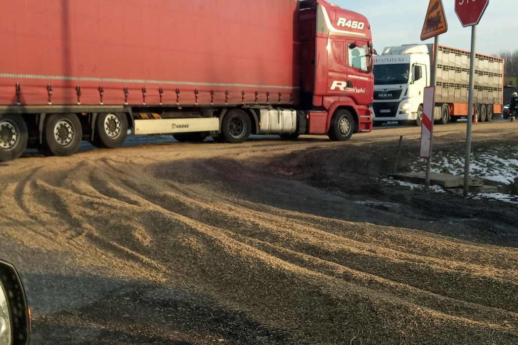 Ogromne ilości śruty rzepakowej w Kobylnikach