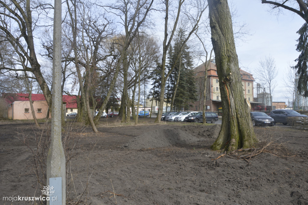 Pałac w Polanowicach odsłonięty. Uporządkowano teren przy zabytku