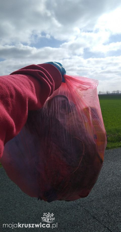 Harcerze ruszyli porządkować nasze otoczenie. Odwiedzili m.in. Polanowice i Kruszwicę