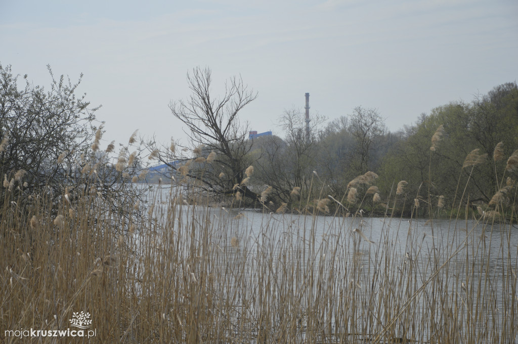 Most w Kobylnikach to część przyszłej obwodnicy Kruszwicy [ZDJĘCIA]