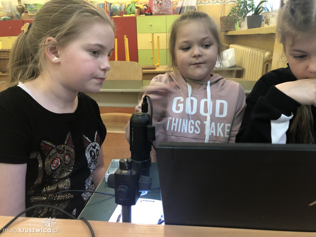 ?Obserwacje mikroskopowe trzecioklasistów ze Szkoły Podstawowej w Polanowicach.