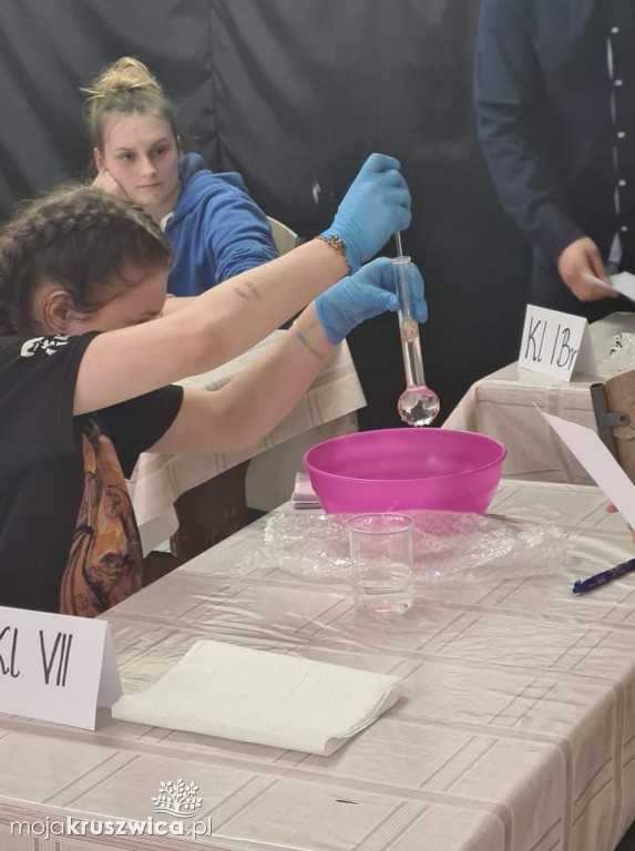 Dzień Nauk Matematyczno-Przyrodniczych w kruszwickim MOW