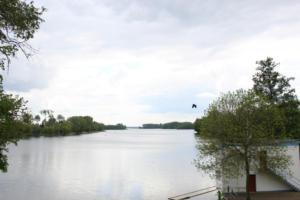 Nadgoplański Park Tysiąclecia w Kruszwicy od środka